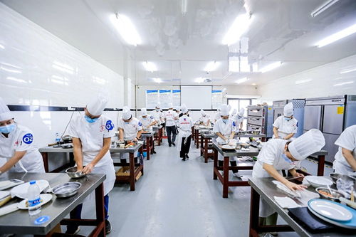 重慶高新區首屆“高新工匠杯”技能大賽開賽，信息技術咨詢服務領域人才角逐巔峰
