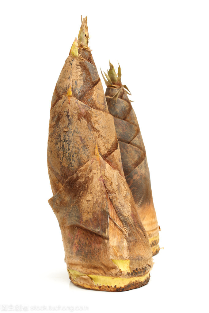 深山里的饋贈(zèng) 竹筍的生命之歌